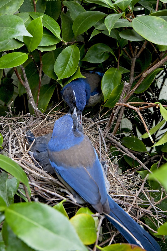 IMG_9645.jpg