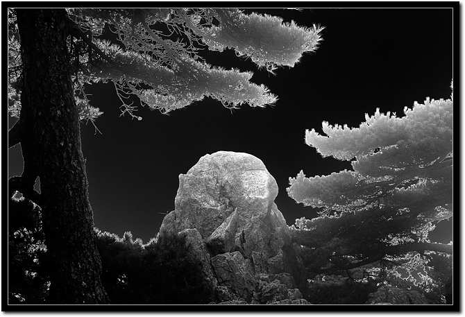 Huangshan4.jpg
