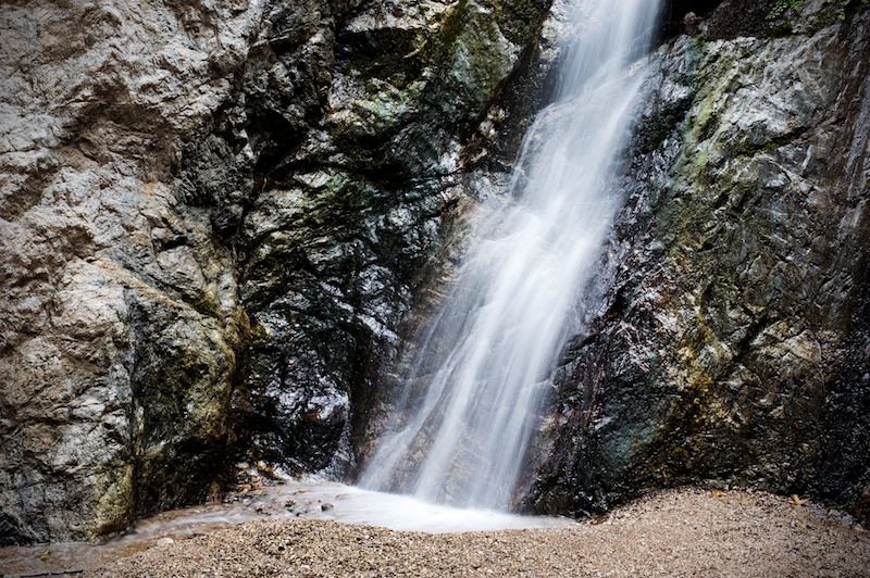 _DSC7397.jpg