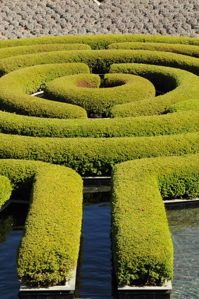 getty4.jpg