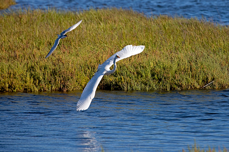 IMG_6725.jpg