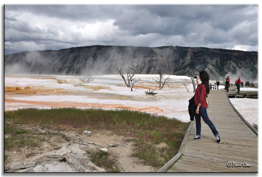Pcao090613_vac_d3_yelstn_n0495xeftM_mammoth_G_s10.jpg