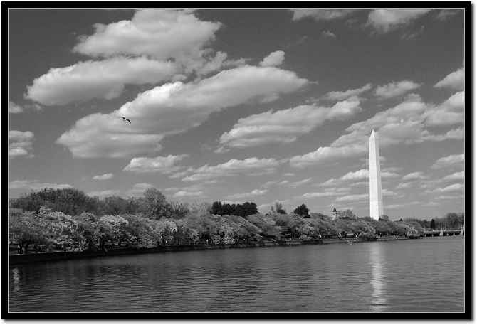 washington.jpg