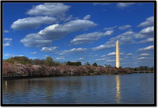 Washington2.jpg