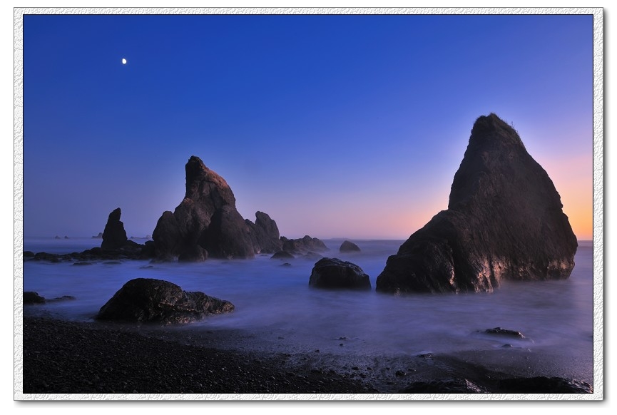 DSC_2596j.jpg