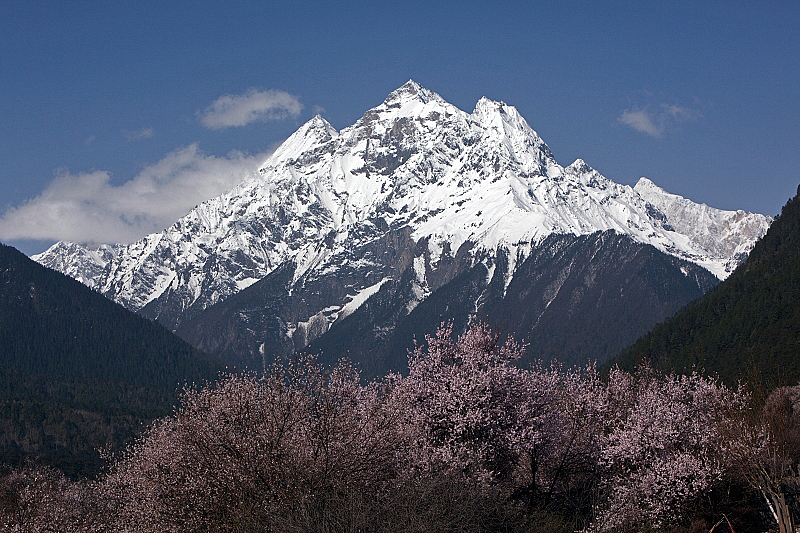 IMG_1605.JPG