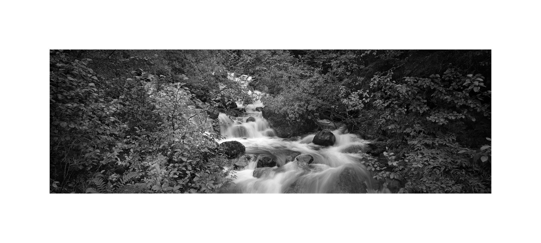 scan_01.jpg