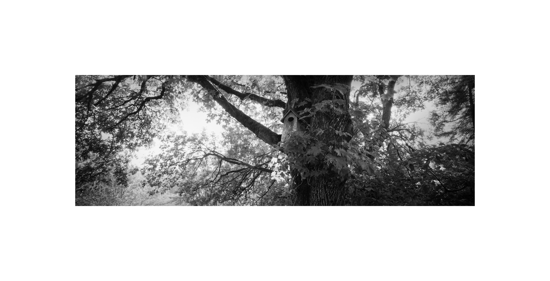 scan_06.jpg