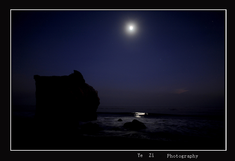 DSC_7311 copy.jpg