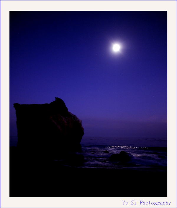 DSC_7301 copy.jpg
