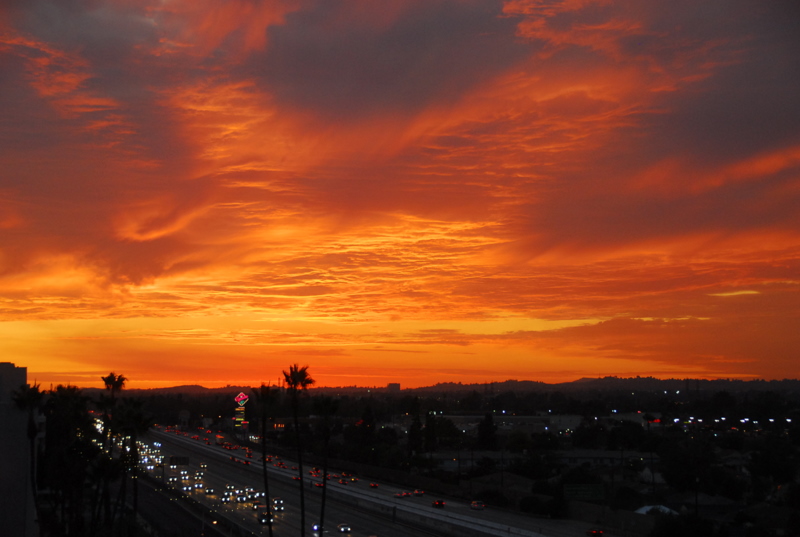 DSC_0037-2.JPG