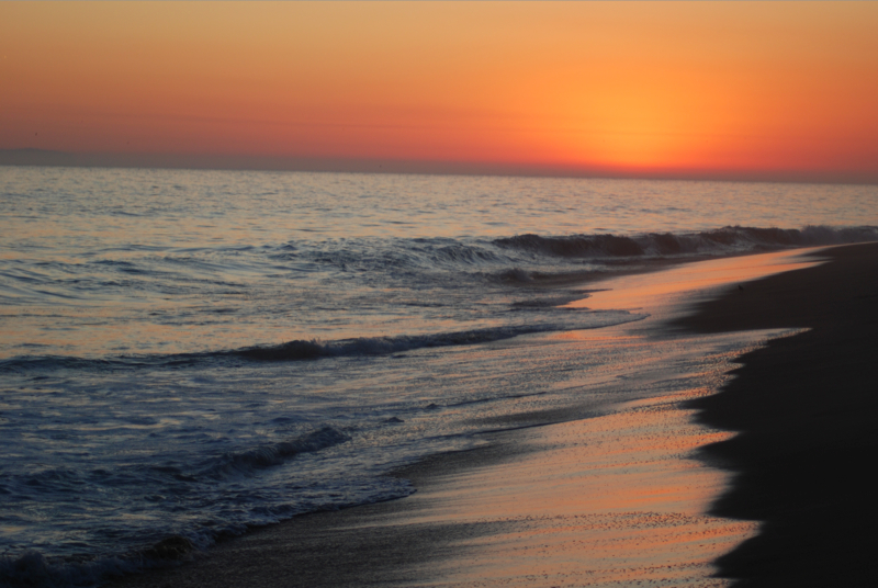 DSC_0198.jpg