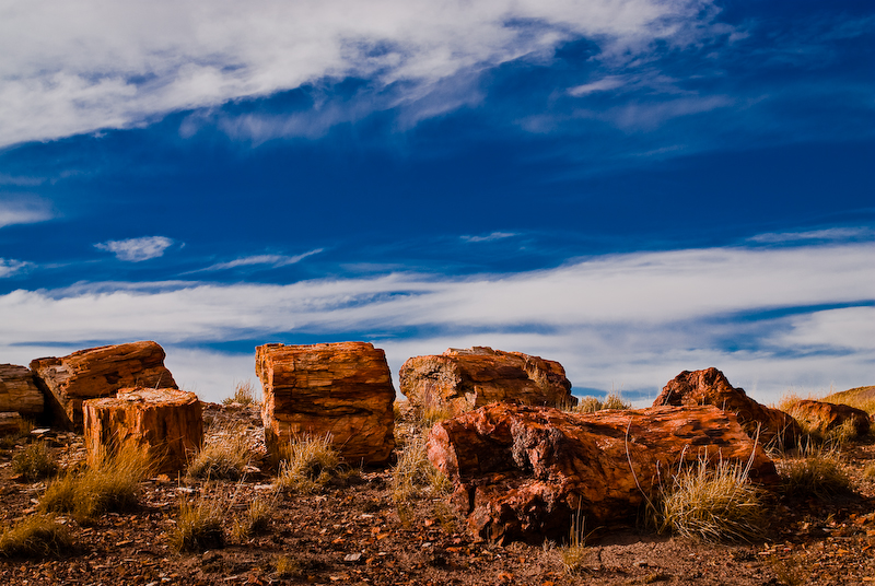 DSC_0111-2.jpg