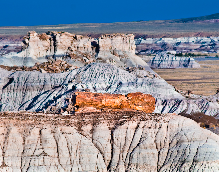 DSC_0162-2.jpg