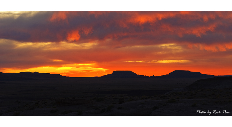 _DSC0467-small2.jpg