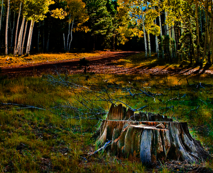 DSC_0260-3.jpg