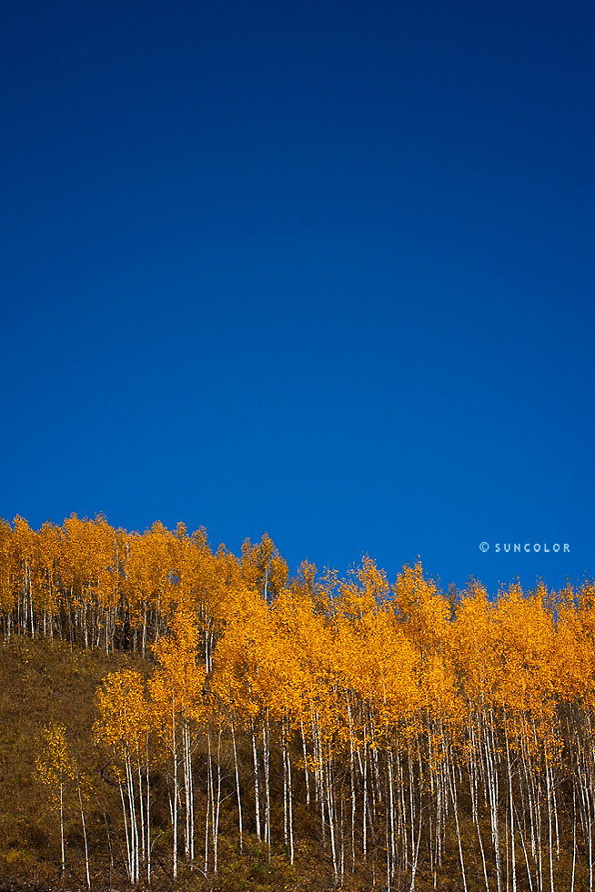 landscape-10.jpg