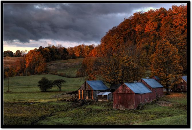 farm7.jpg