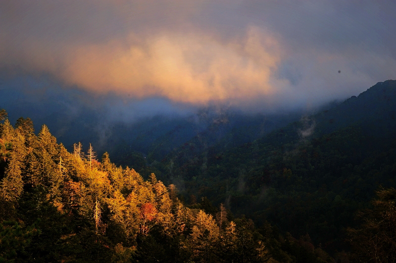 DSC_5115.jpg
