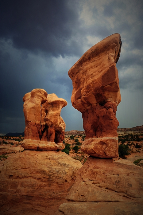 DSC_4353f.jpg