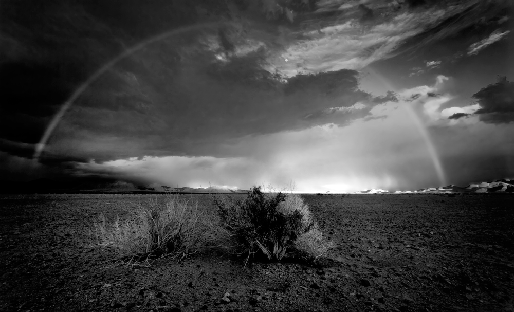 IMG_3096bw.jpg