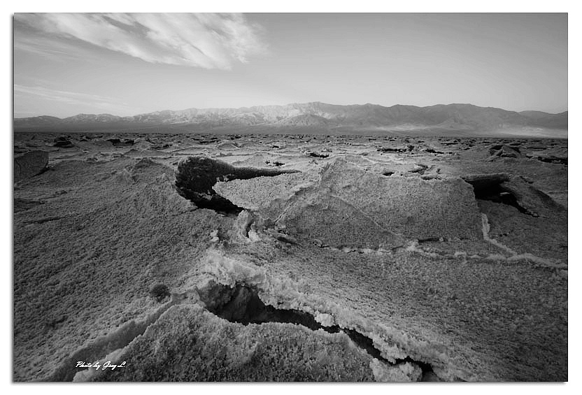IMG_1034bw.jpg