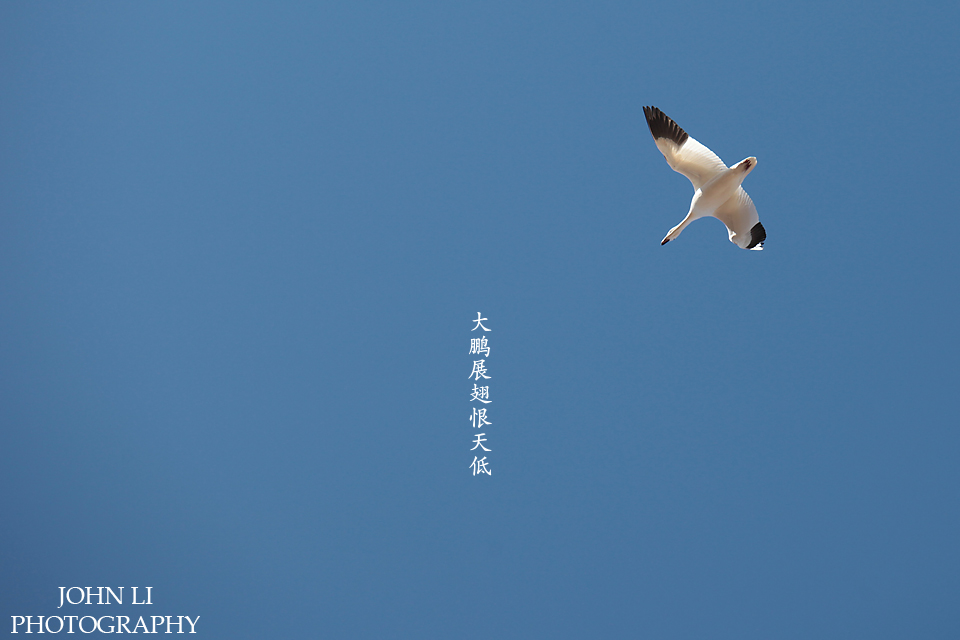 IMG_8555dfdf.jpg