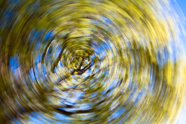 fine art-4.jpg