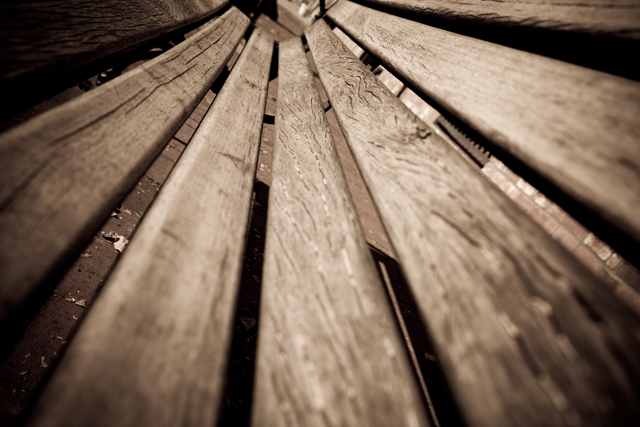 fine art-8.jpg