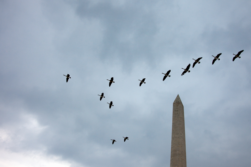 IMG_4286.jpg