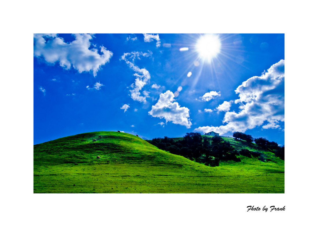02-07-10A3.jpg