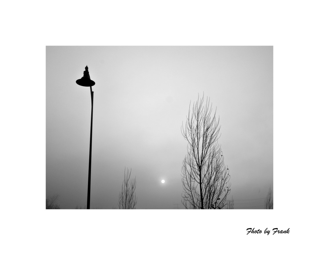 02-26-10A1.jpg