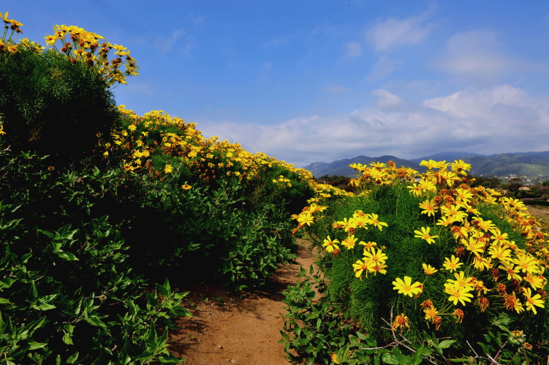 DSC_4782c.jpg