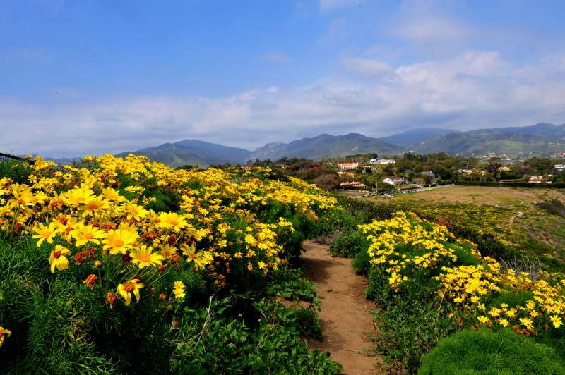 DSC_4784c.jpg