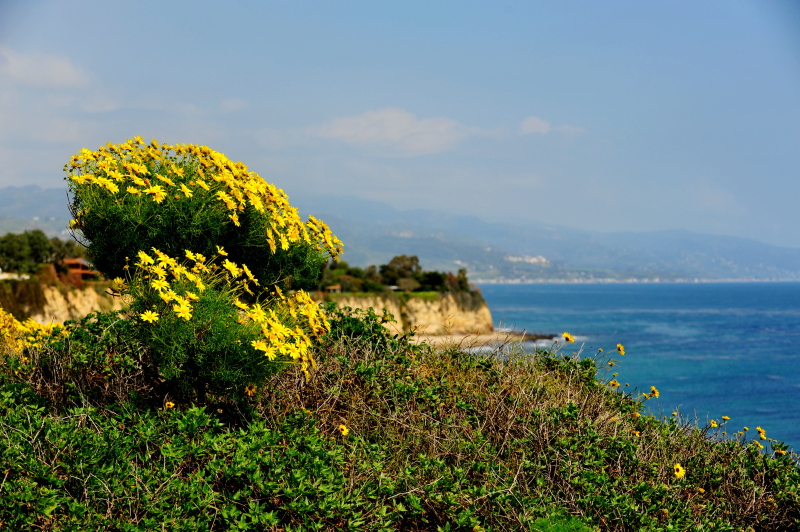 DSC_4729c.jpg