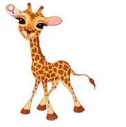 Giraffe 2.jpg