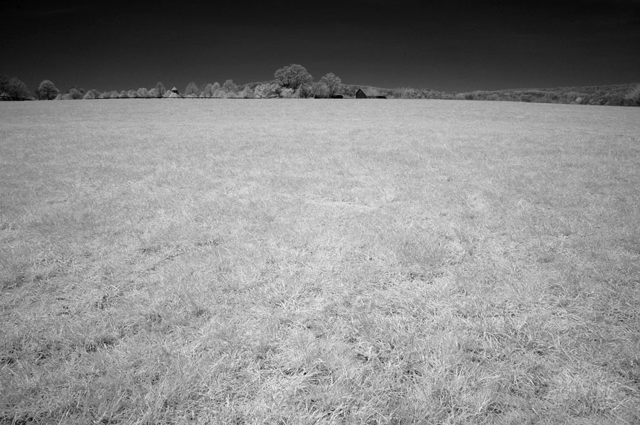 DSC_7101sm.jpg