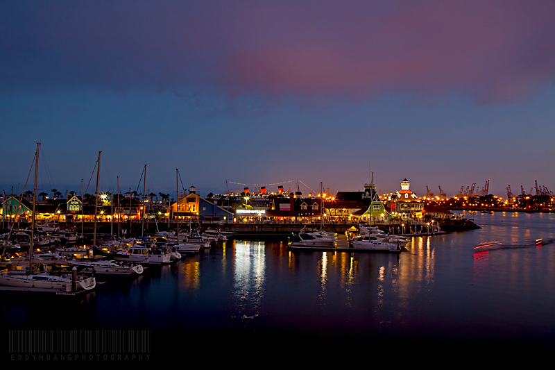 IMG_5826.jpg