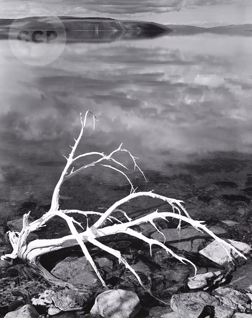 monolake.JPG