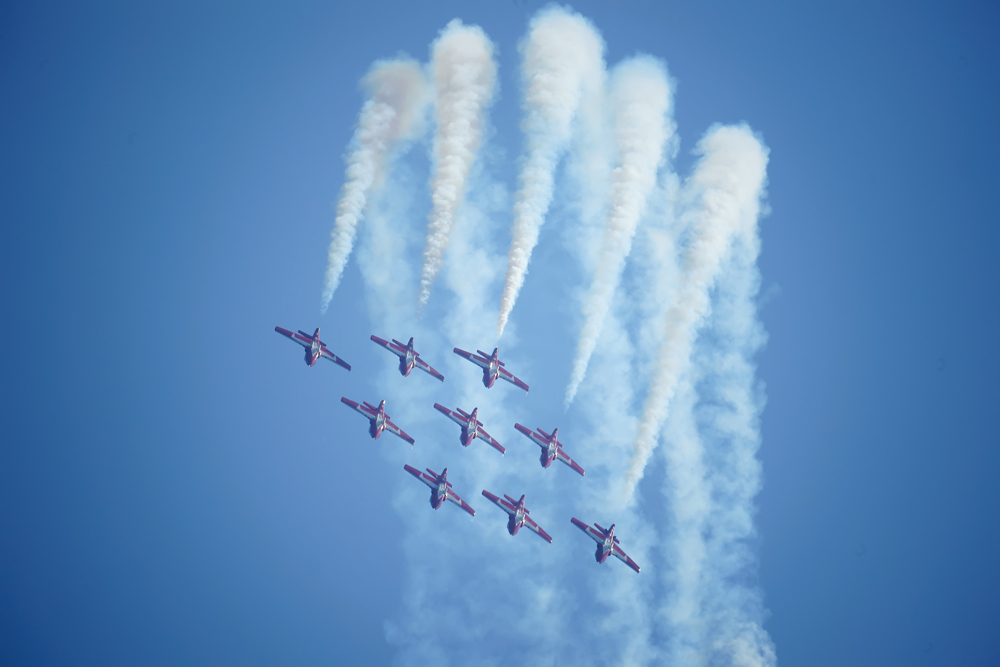 DSC02742-a.jpg