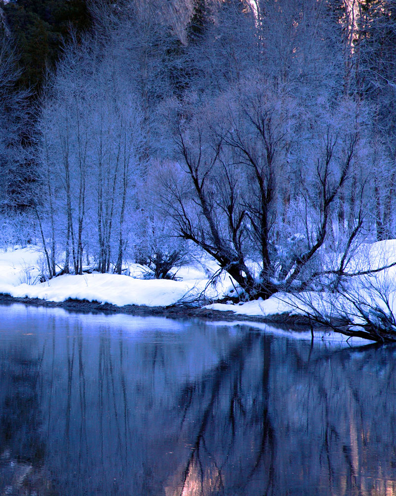 2011-01-09b-Swinging Bridge-024s.jpg