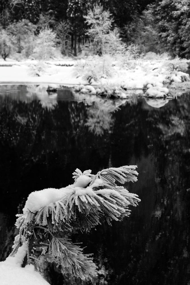 2011-01-08d-Merced River-057s.jpg