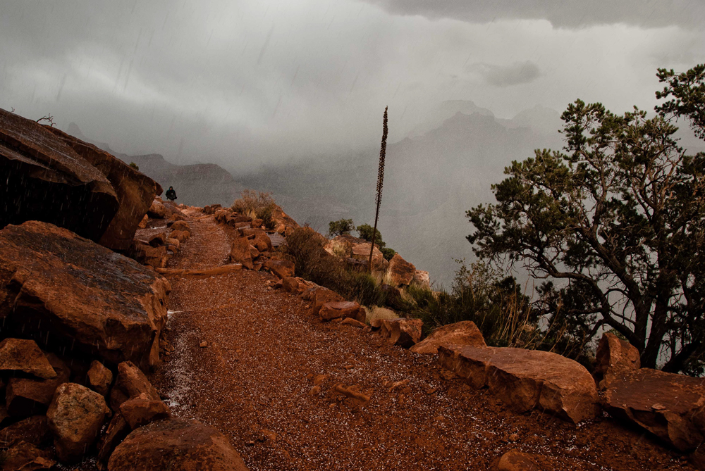 Hit by brief Grand Canyon storm.jpg