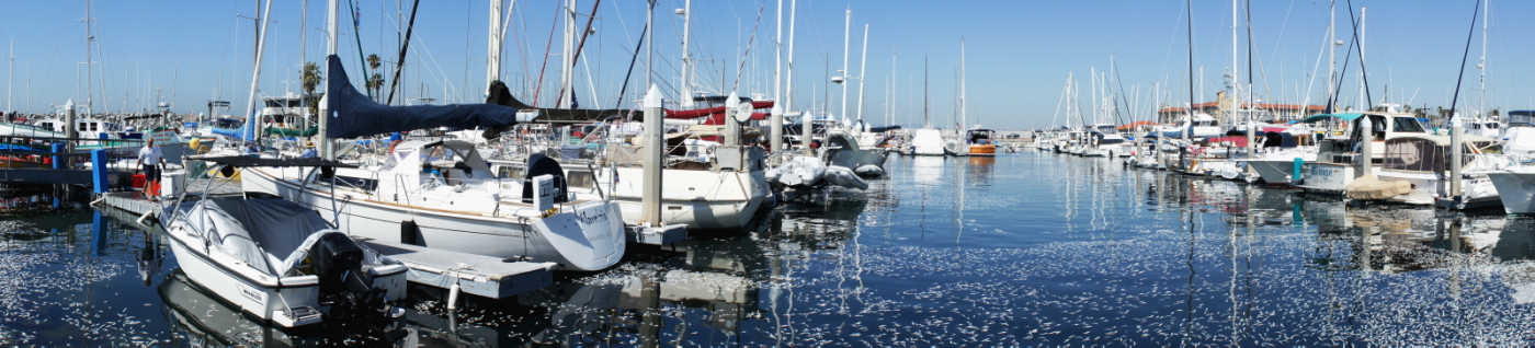 DSC01430d.jpg