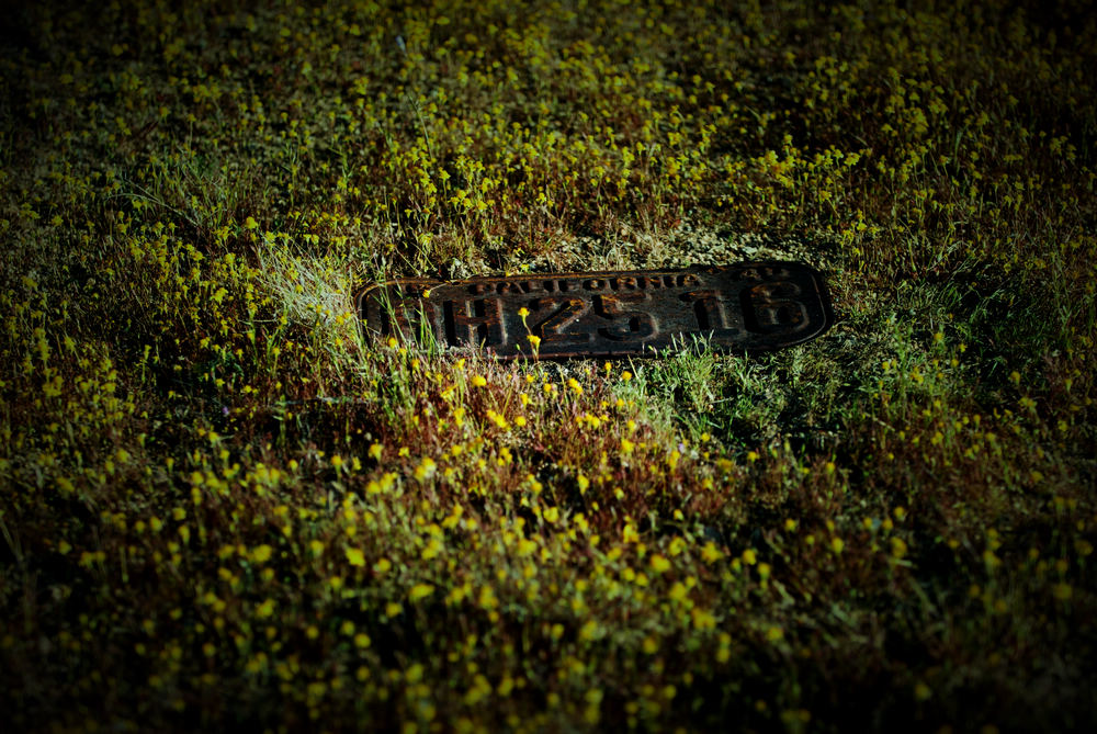 DSC_0289.jpg