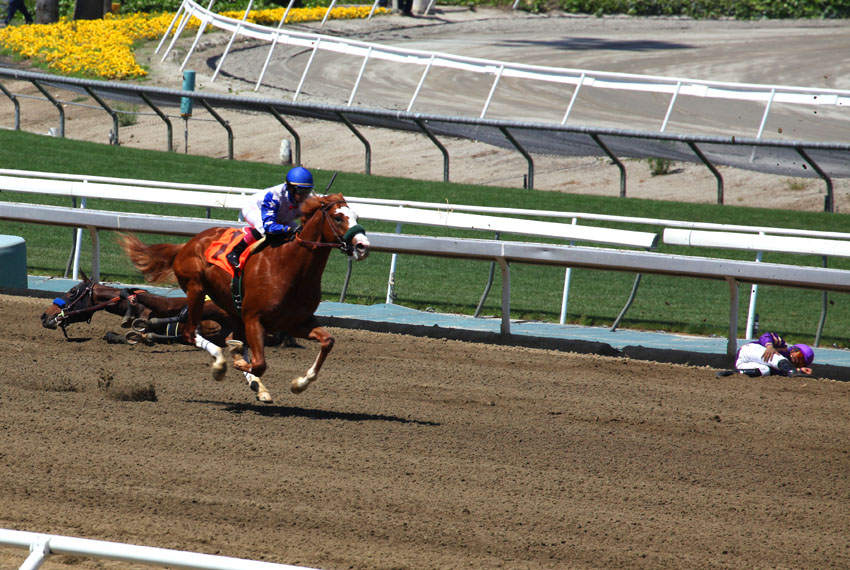 IMG_6856.jpga.jpg