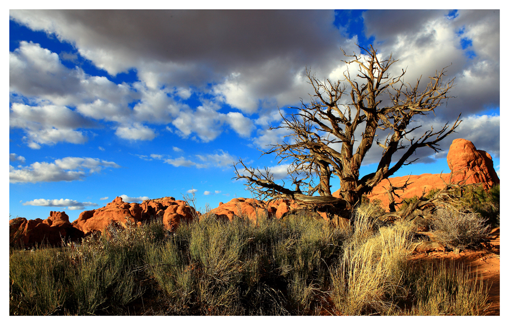 IMG_4810bpz[2].jpg