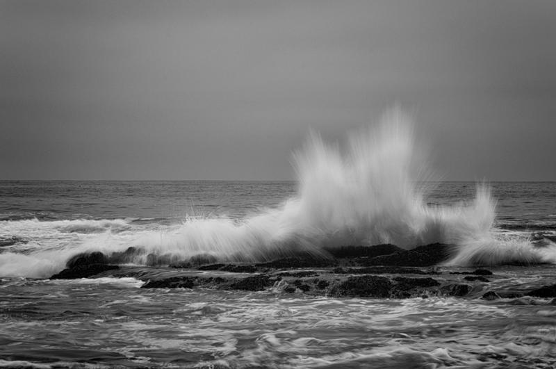 _DSC3762BW.jpg