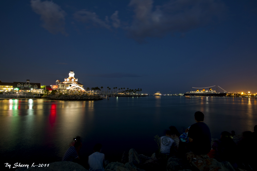 IMG_6177b2.jpg