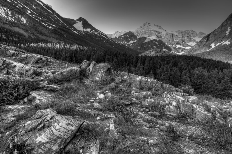 DSC_5866.jpg